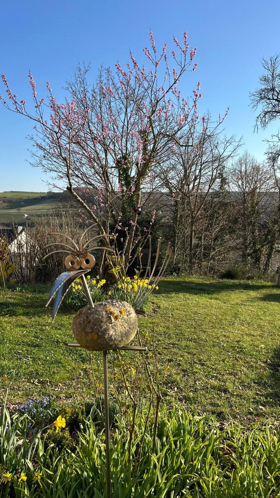 Panoramablick Leilighet Bad Sobernheim Eksteriør bilde